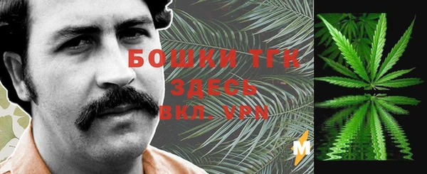 прущий лед Белокуриха