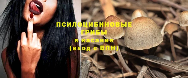 прущий лед Белокуриха