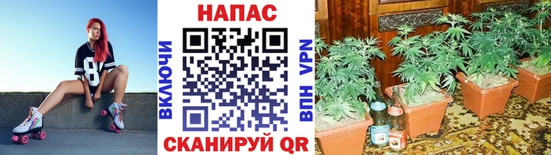 МЕГА ONION  Сухиничи  Каннабис Bruce Banner 